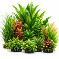 belvynna Realistic Aquatic Plant Set